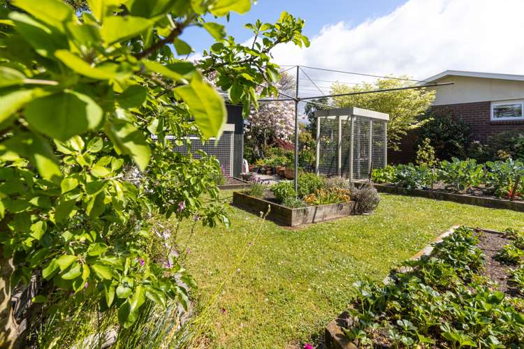 14 Rousehill Street Renwick_21