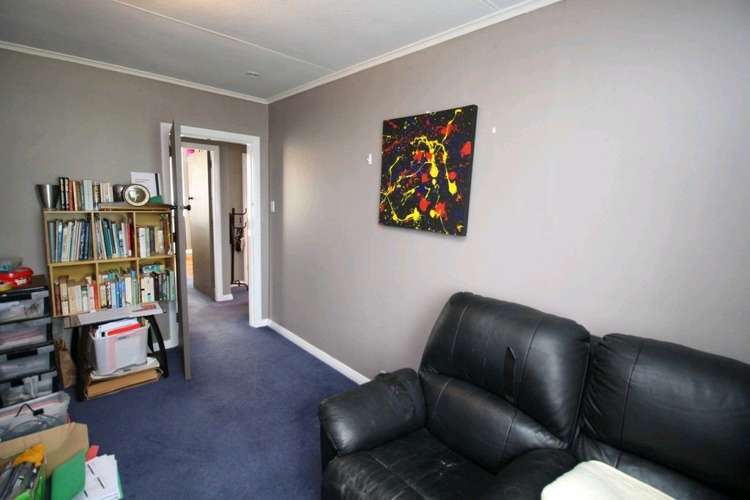 20 Ward Street Bulls_22