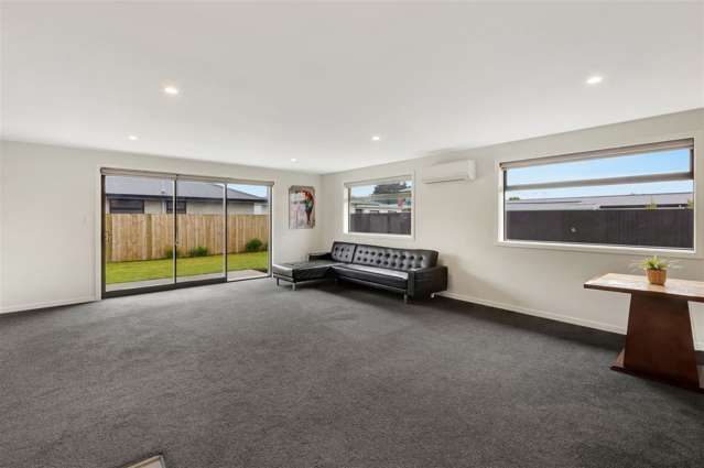 155a Archibald Street Tinwald_4