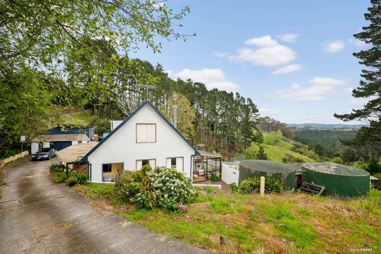 194 Ara-Kotinga Whitford_8