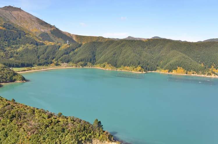 465 Tumbledown Bay Road Port Underwood_12