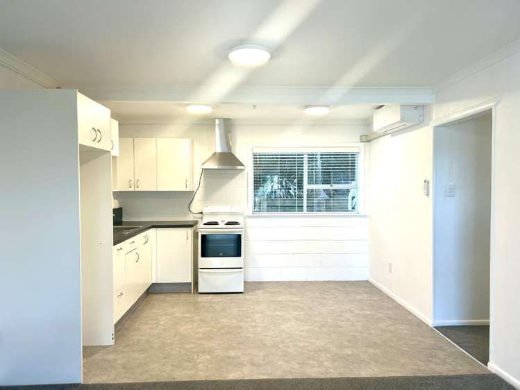 273B Ohiwa Beach Road 10907_2