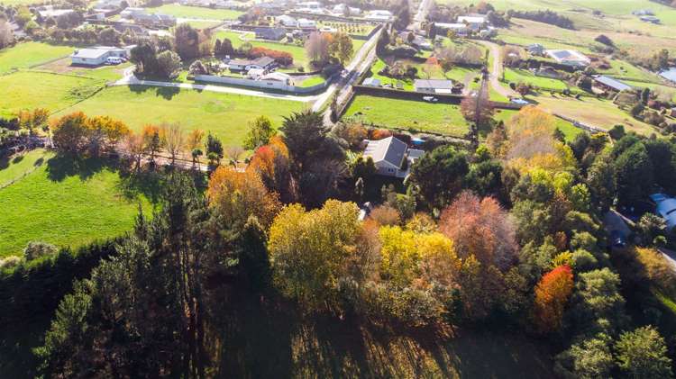 133 Bradford Street Waihi_6