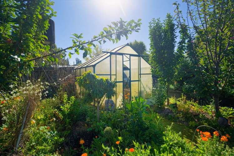 26 Levin Street Cheviot_34