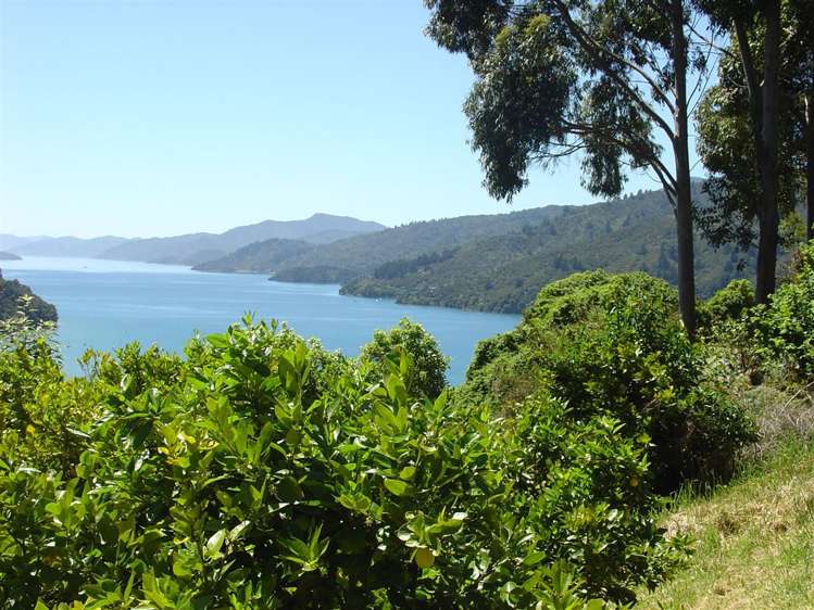 57 Tirimoana Terrace Anakiwa and Surrounds_14