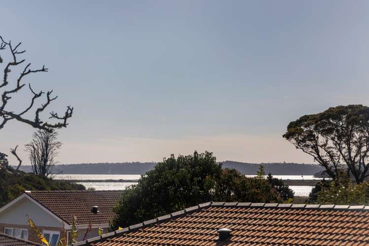 56 Eastdale Road Avondale_14