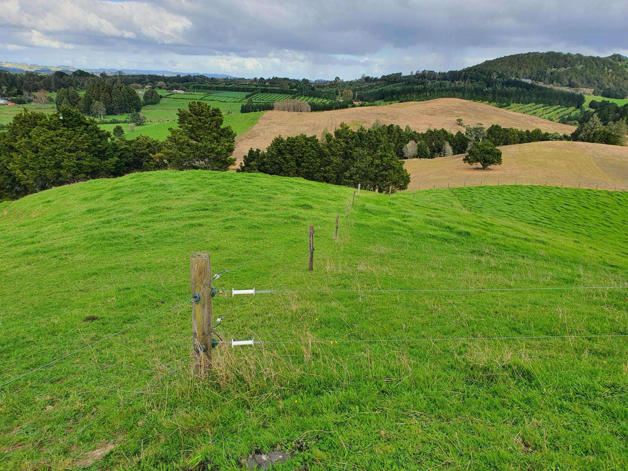 Curd Road Maungakaramea Whangārei Rural Property For Sale One Roof