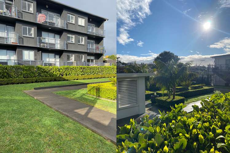 15/20 Central Road Kingsland_8