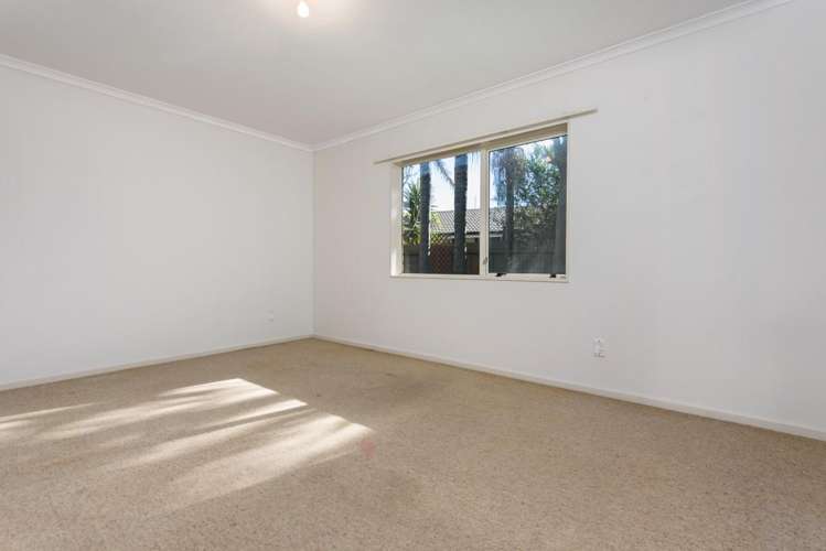 69b Girven Road Mount Maunganui_7