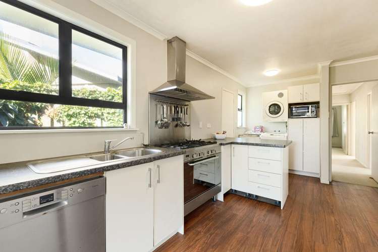 59 Valley Road Mount Maunganui_6