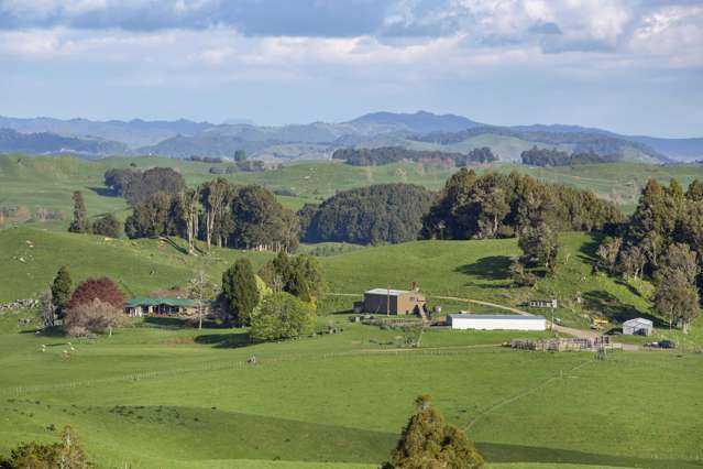 574 Mangaotaki Road Piopio_3