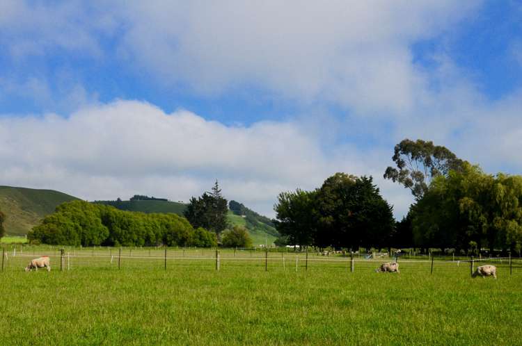481 Hilderthorpe-Pukeuri Road Pukeuri_18