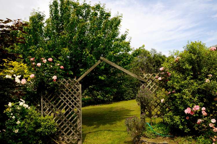 392 Island Stream Road Five Forks and Surrounds_10