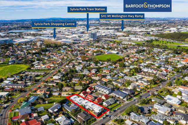 48d Ruawai Road Mount Wellington_2