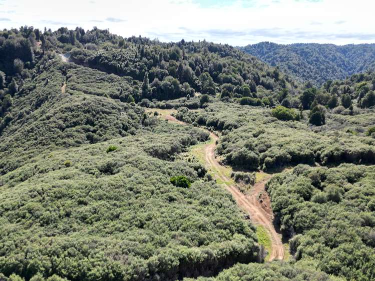 2109 Okau Road Ahititi_5