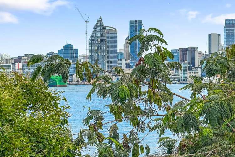 23C Stanley Point Road Devonport_1