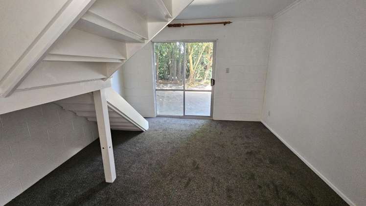 275a Carrington Street Vogeltown_13