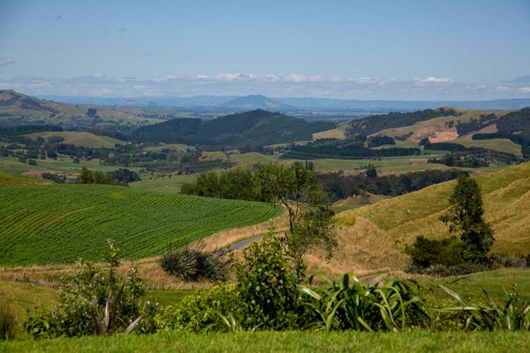 3/205 Oliver Road Te Miro_19