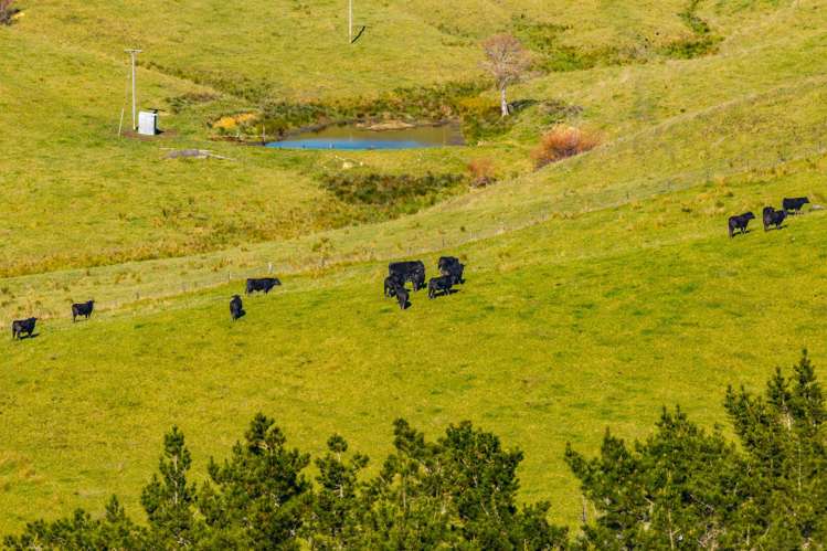 Lot 3 80 Harrison Road Waiotira_3