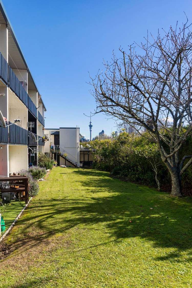 9/11 Balfour Road Parnell_14