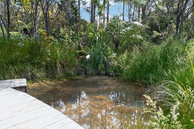 124 Rangiora Road Kaiwaka_33