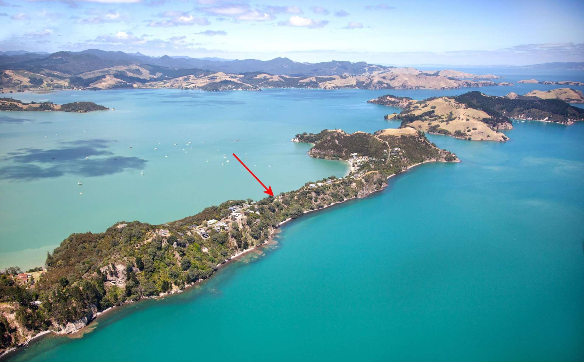 1695 Wyuna Bay Road Coromandel_0
