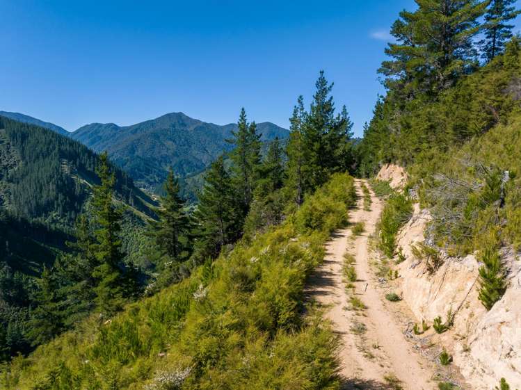 785 Waikakaho Road Tuamarina_49