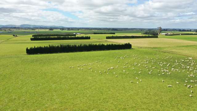 401 Spar Bush School Road Spar Bush_1