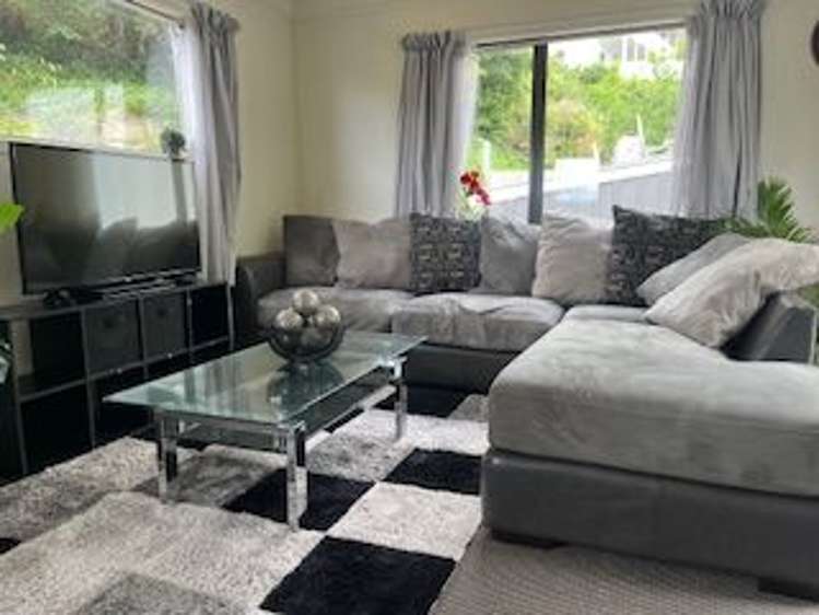 17 Serpentine Avenue Dunedin Central_0