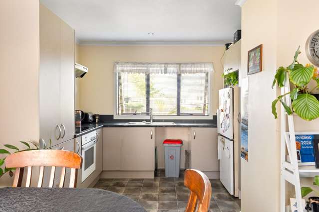 23 Mill Road Te Hapara_4