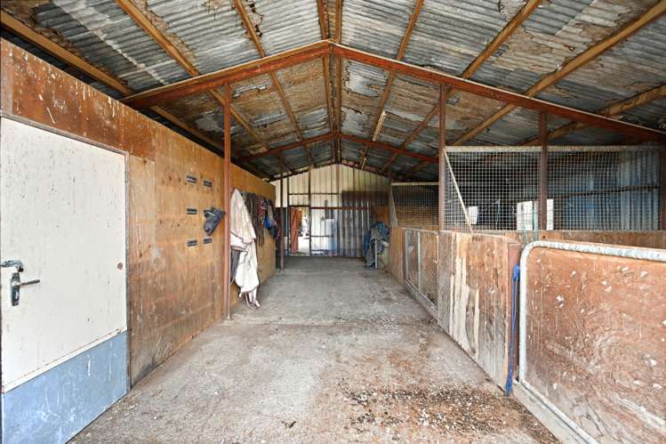 59 Racecourse Road Cambridge_37