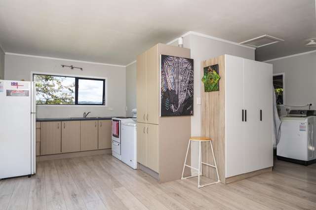 161 Duke Street Opotiki and Surrounds_3