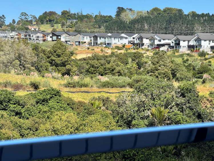 31 Hauhake Road Flat Bush_29