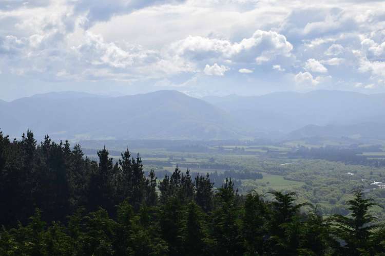 347 Davis Road Cust_16