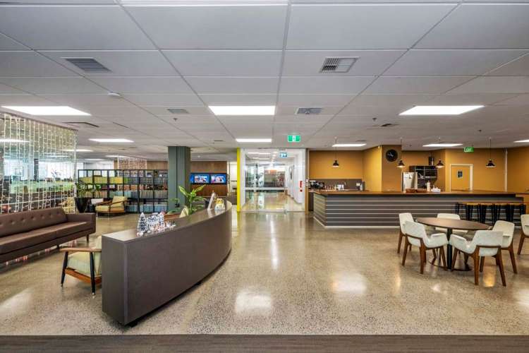 123 Carlton Gore Road Newmarket_6