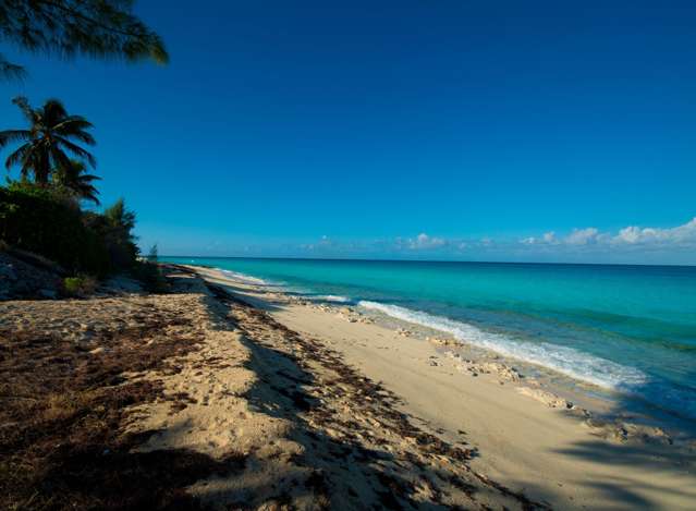 Address withheld Auckland_2