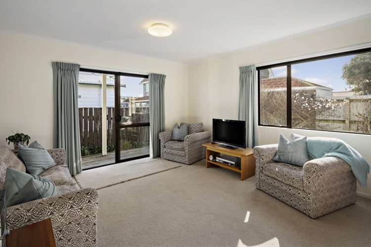 59a Devonshire Road Miramar_2