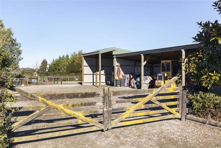 65 Maddisons Road Templeton_5