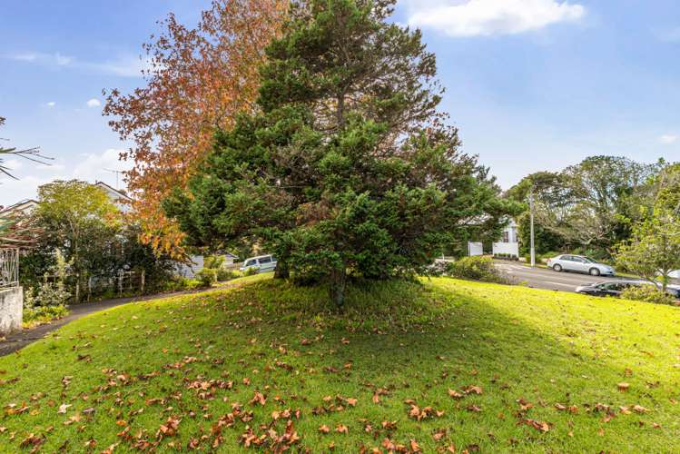 47 Amy Street Ellerslie_5