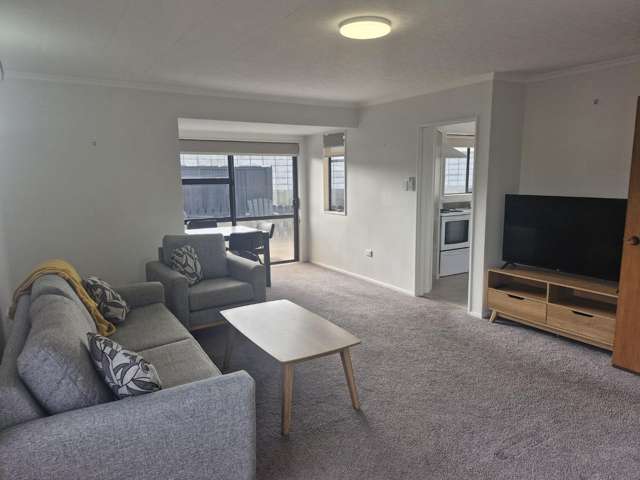 45 Buller Street New Plymouth_3
