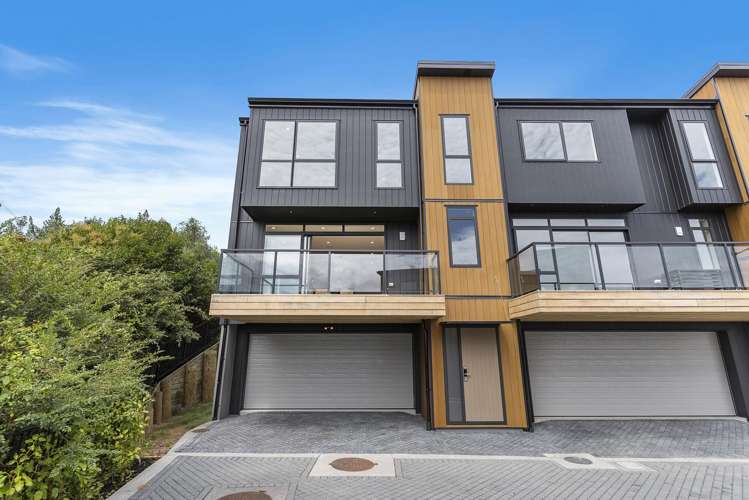 21 Timo Way Flat Bush_3