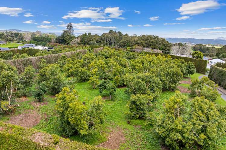 14 Hawken Road Maunu_23