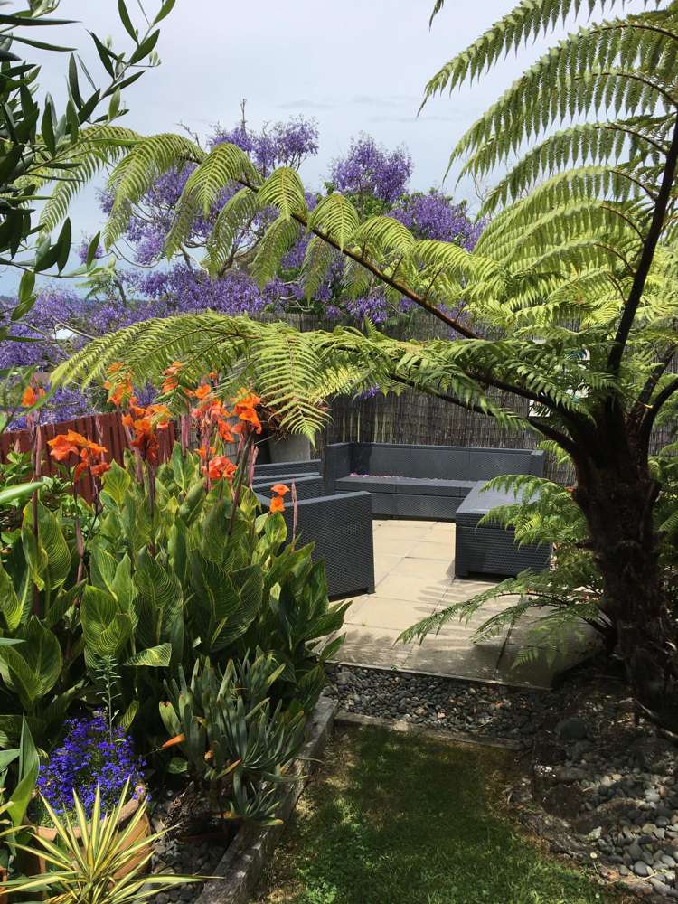 51 Spence Road Henderson_6