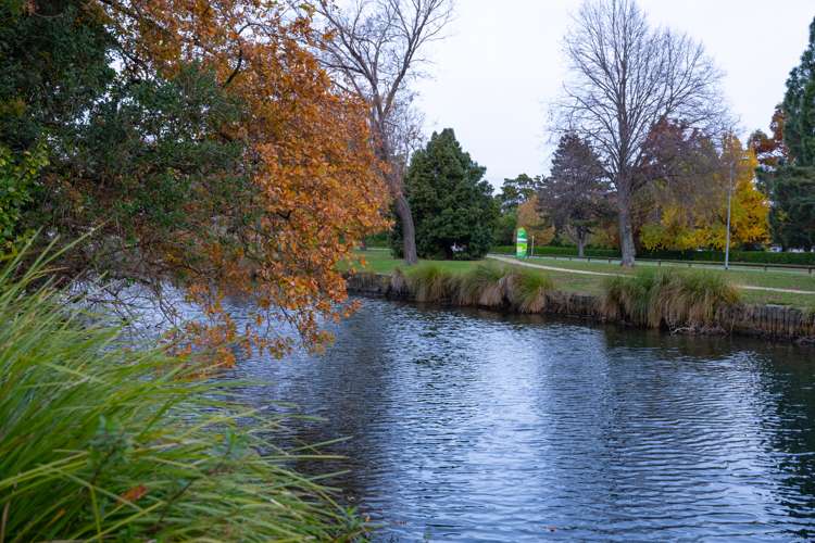 23a Montgomery Terrace Hokowhitu_25