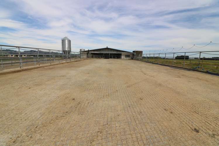 520 Island Edendale Road Menzies Ferry_15