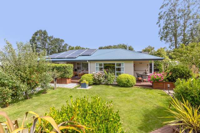 Contemporary comfort & privacy