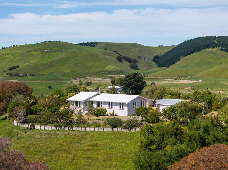 246 Seafield Road Eskdale_30