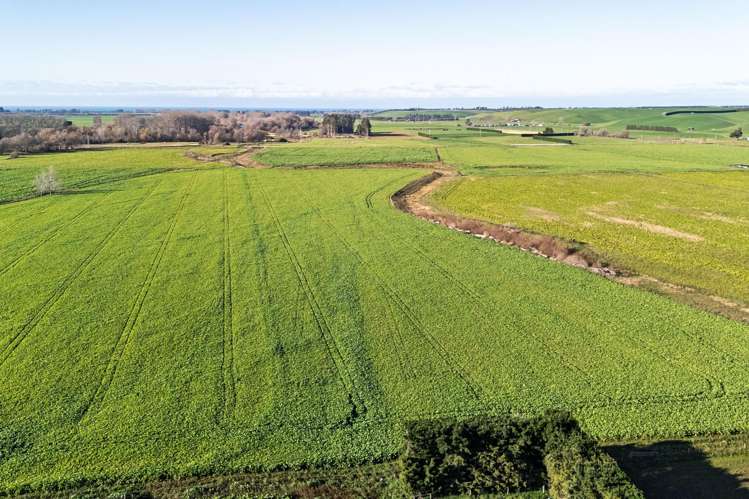 Pareora River Road Southburn_7