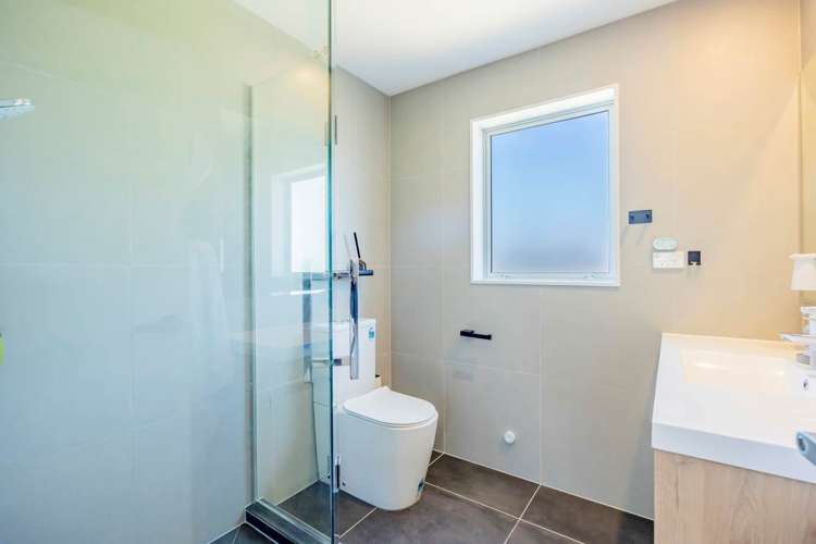 144 Astley Avenue New Lynn_19