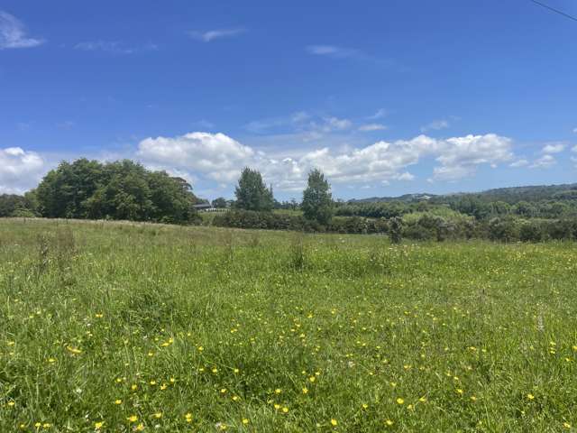 63 Follies Way Dairy Flat_4